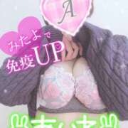 ヒメ日記 2025/04/07 07:30 投稿 あいね 静岡人妻なでしこ（カサブランカグループ)