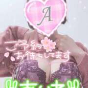 ヒメ日記 2025/04/08 17:12 投稿 あいね 静岡人妻なでしこ（カサブランカグループ)