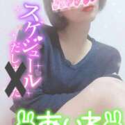 ヒメ日記 2025/04/17 13:30 投稿 あいね 静岡人妻なでしこ（カサブランカグループ)