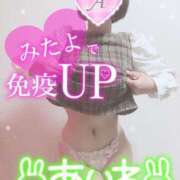 ヒメ日記 2025/04/18 10:46 投稿 あいね 静岡人妻なでしこ（カサブランカグループ)