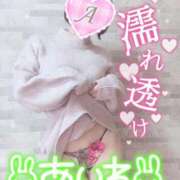 ヒメ日記 2025/04/19 19:16 投稿 あいね 静岡人妻なでしこ（カサブランカグループ)