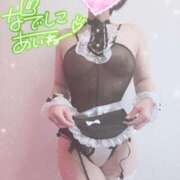 ヒメ日記 2025/04/26 15:10 投稿 あいね 静岡人妻なでしこ（カサブランカグループ)