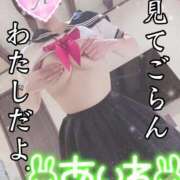 ヒメ日記 2025/05/11 08:50 投稿 あいね 静岡人妻なでしこ（カサブランカグループ)