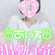 ヒメ日記 2025/05/17 13:24 投稿 あいね 静岡人妻なでしこ（カサブランカグループ)