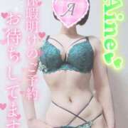 ヒメ日記 2025/06/28 13:16 投稿 あいね 静岡人妻なでしこ（カサブランカグループ)