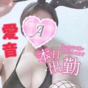 ヒメ日記 2025/07/07 11:02 投稿 あいね 静岡人妻なでしこ（カサブランカグループ)