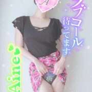 ヒメ日記 2025/09/17 11:36 投稿 あいね 静岡人妻なでしこ（カサブランカグループ)