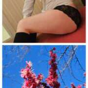 ヒメ日記 2025/02/23 17:00 投稿 姫野こはる 横浜平成女学園