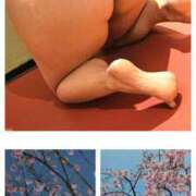 ヒメ日記 2025/04/01 16:30 投稿 姫野こはる 横浜平成女学園