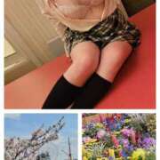 ヒメ日記 2025/04/12 16:35 投稿 姫野こはる 横浜平成女学園