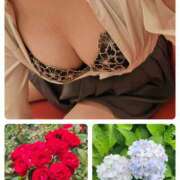 ヒメ日記 2025/07/03 16:30 投稿 姫野こはる 横浜平成女学園