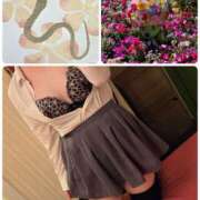 ヒメ日記 2026/04/13 16:50 投稿 姫野こはる 横浜平成女学園