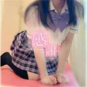 ヒメ日記 2024/12/31 19:40 投稿 星輝つづき 横浜平成女学園