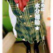 ヒメ日記 2025/07/06 12:00 投稿 星輝つづき 横浜平成女学園