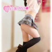 ヒメ日記 2026/01/29 23:55 投稿 星輝つづき 横浜平成女学園