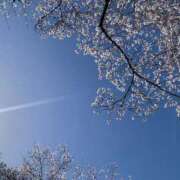 ヒメ日記 2025/04/03 09:16 投稿 藤原 BBW横浜店