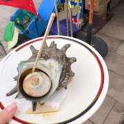 ヒメ日記 2026/09/22 11:13 投稿 藤原 BBW横浜店