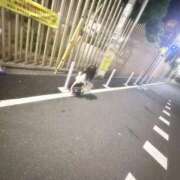 ヒメ日記 2025/09/04 20:08 投稿 いちご 静岡♂風俗の神様 静岡店