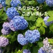 ヒメ日記 2025/05/18 13:36 投稿 愛川遥 五十路マダム富山店(カサブランカグループ)