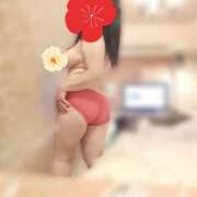 ヒメ日記 2026/05/11 08:25 投稿 しおん 若妻淫乱倶楽部 古河店