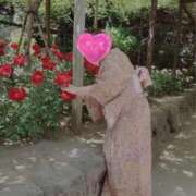 ヒメ日記 2025/04/14 19:04 投稿 杉浦ここあ 五十路マダム富山店(カサブランカグループ)