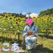 ヒメ日記 2025/04/18 12:46 投稿 杉浦ここあ 五十路マダム富山店(カサブランカグループ)