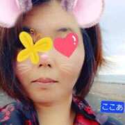 ヒメ日記 2025/04/25 12:22 投稿 杉浦ここあ 五十路マダム富山店(カサブランカグループ)