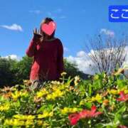 ヒメ日記 2025/10/06 18:32 投稿 杉浦ここあ 五十路マダム富山店(カサブランカグループ)