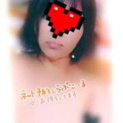 ヒメ日記 2025/11/30 19:02 投稿 杉浦ここあ 五十路マダム富山店(カサブランカグループ)