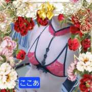 ヒメ日記 2026/02/14 19:02 投稿 杉浦ここあ 五十路マダム富山店(カサブランカグループ)