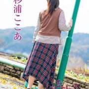 ヒメ日記 2026/02/17 11:10 投稿 杉浦ここあ 五十路マダム富山店(カサブランカグループ)