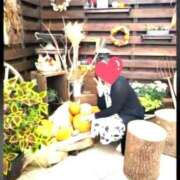 ヒメ日記 2026/09/15 12:34 投稿 杉浦ここあ 五十路マダム富山店(カサブランカグループ)