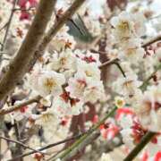 ヒメ日記 2025/03/08 17:36 投稿 はづき 京都の痴女鉄道