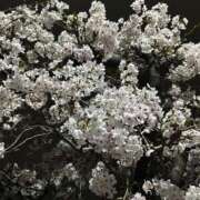 ヒメ日記 2025/03/28 20:26 投稿 はづき 京都の痴女鉄道