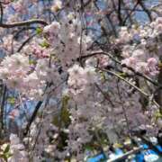 ヒメ日記 2025/04/06 21:56 投稿 はづき 京都の痴女鉄道