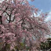 ヒメ日記 2025/04/11 16:06 投稿 はづき 京都の痴女鉄道