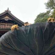 ヒメ日記 2025/06/22 15:56 投稿 はづき 京都の痴女鉄道