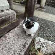 ヒメ日記 2026/02/22 21:16 投稿 はづき 京都の痴女鉄道