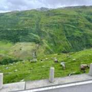 ヒメ日記 2026/02/22 21:46 投稿 はづき 京都の痴女鉄道