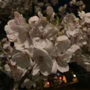 ヒメ日記 2026/03/27 23:26 投稿 はづき 京都の痴女鉄道