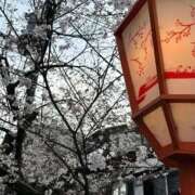 ヒメ日記 2026/03/28 19:56 投稿 はづき 京都の痴女鉄道