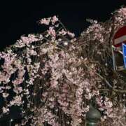 ヒメ日記 2026/04/03 21:08 投稿 はづき 京都の痴女鉄道