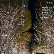 ヒメ日記 2024/12/18 18:06 投稿 滝沢 昼顔妻 五反田店