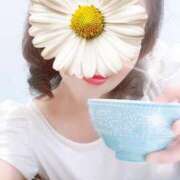 ヒメ日記 2024/12/28 12:45 投稿 滝沢 昼顔妻 五反田店