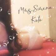 ヒメ日記 2024/06/11 11:10 投稿 こと Mrs Sirena（ミセスシレナ）