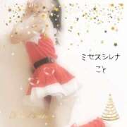ヒメ日記 2024/12/11 22:20 投稿 こと Mrs Sirena（ミセスシレナ）