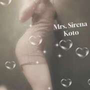 ヒメ日記 2024/12/31 08:17 投稿 こと Mrs Sirena（ミセスシレナ）