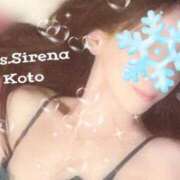 ヒメ日記 2025/02/02 09:18 投稿 こと Mrs Sirena（ミセスシレナ）