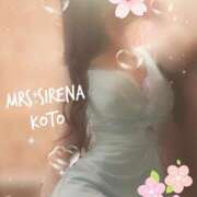 ヒメ日記 2025/04/12 13:28 投稿 こと Mrs Sirena（ミセスシレナ）
