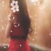 ヒメ日記 2025/04/28 09:28 投稿 こと Mrs Sirena（ミセスシレナ）